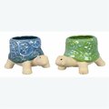 Youngs Stoneware Turtle Planters, 2 Assortment 73236